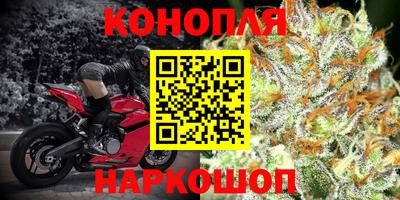 винт Обь