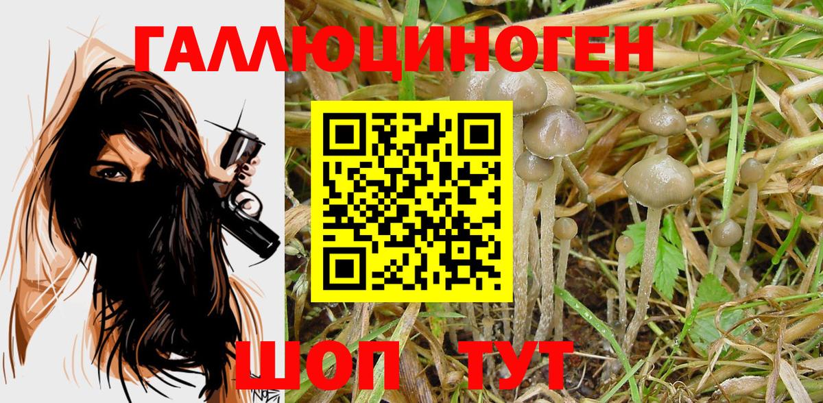 Галлюциногенные грибы GOLDEN TEACHER  Вход с VPN  Семёнов 